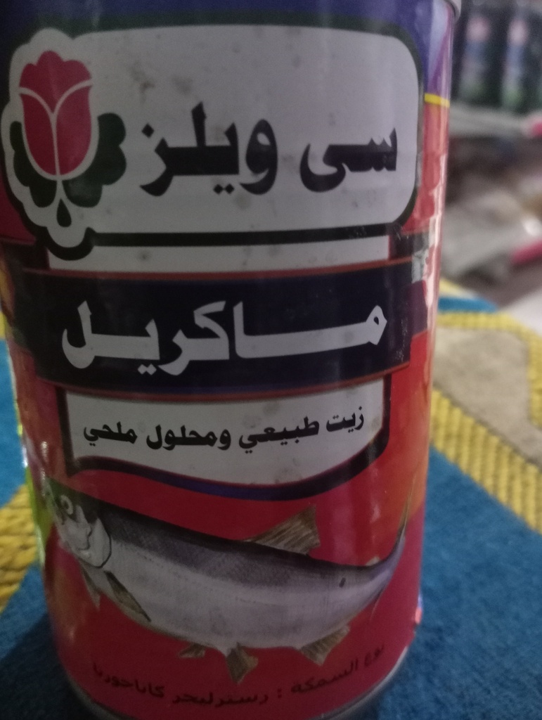 ماكريل سي ويلز